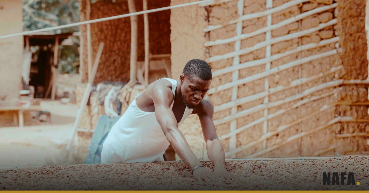 Cacao en cours de séchage chez un producteur ouest-africain (illustration)