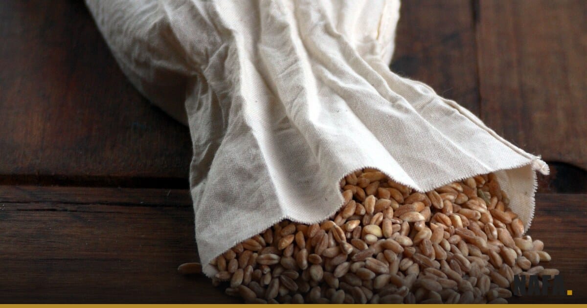 Grains de riz biologiques versés d'un sac sur une table en bois.