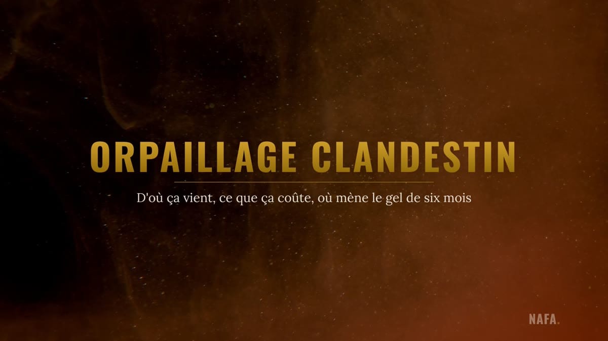 Orpaillage clandestin : d'où ça vient, ce que ça coûte, où mène le gel de six mois
