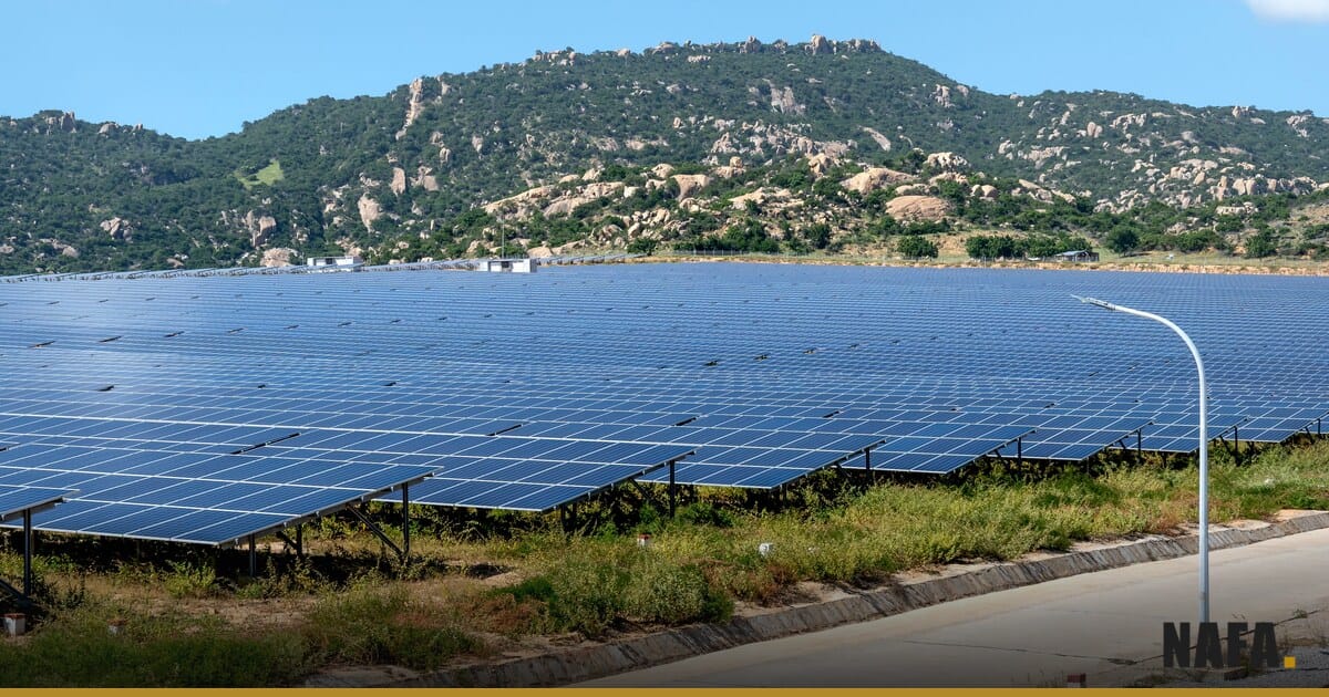 Panneaux solaires photovoltaïques installés dans un champ sous un ciel bleu