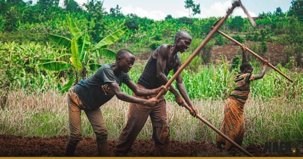 Agriculteurs travaillant ensemble dans un champ en Afrique
