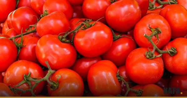 Gros plan sur un tas de tomates fraîches rouges.