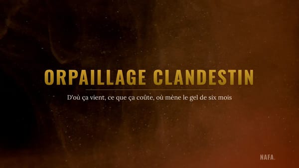 Orpaillage clandestin : d'où ça vient, ce que ça coûte, où mène le gel de six mois