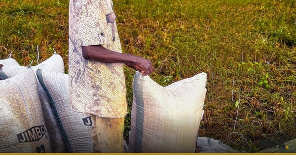 Agriculteur dans un champ en Afrique de l'Ouest, illustration de la sécurisation foncière rurale